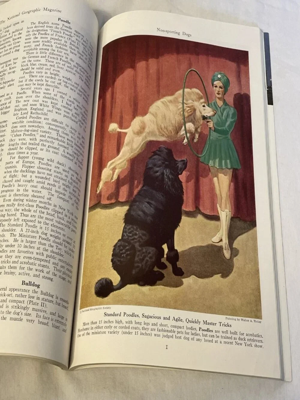 The National Geographic Society vintage national